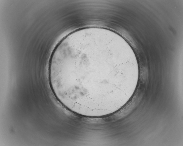 X0000115760856200911131154