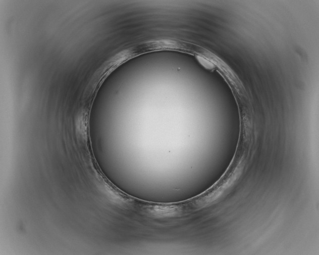 X0000115760857200911131154