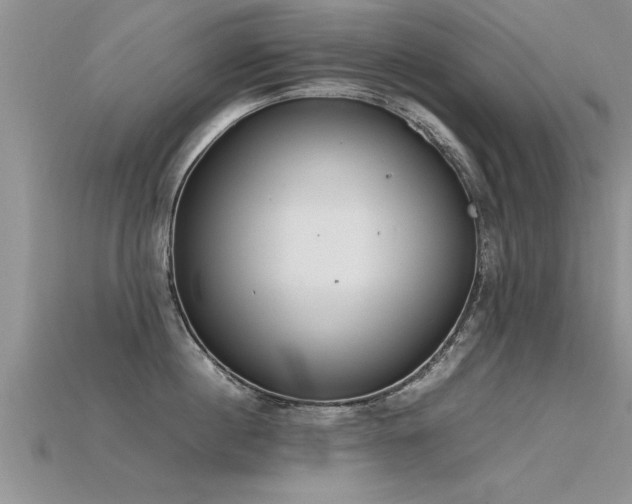 X0000115760860200911131154