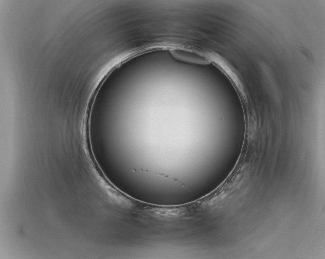 X0000115760861200911131154