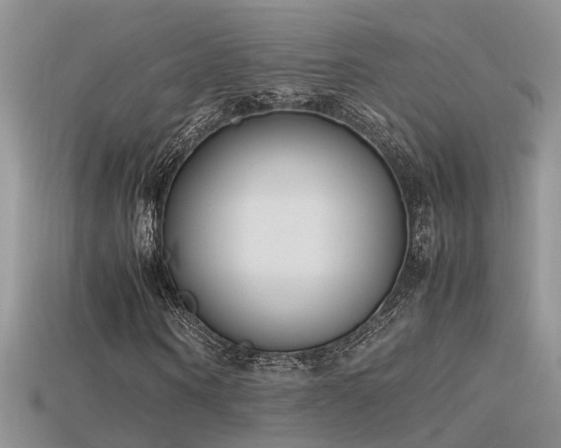X0000115760866200911131154