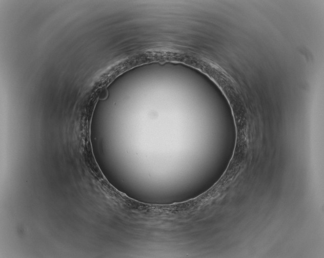 X0000115760870200911131154