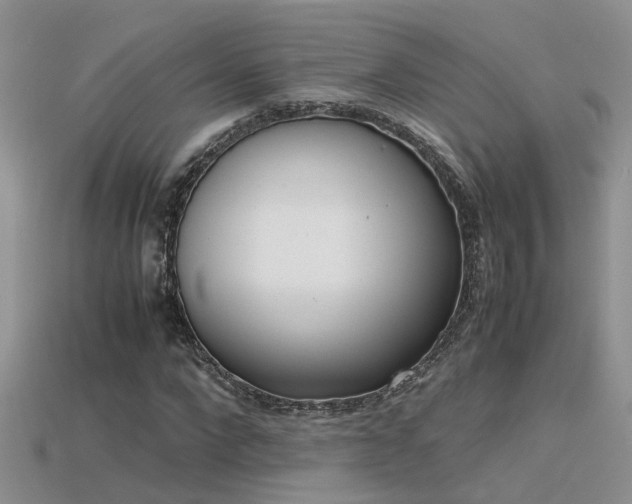 X0000115760872200911131154
