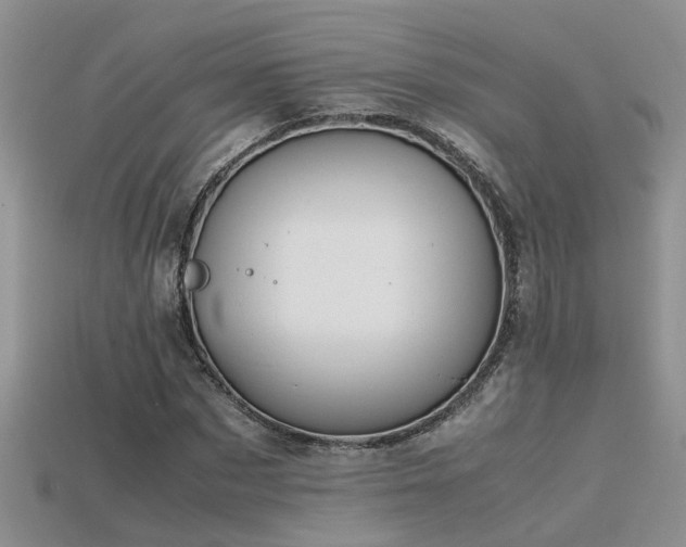X0000115760873200911131154