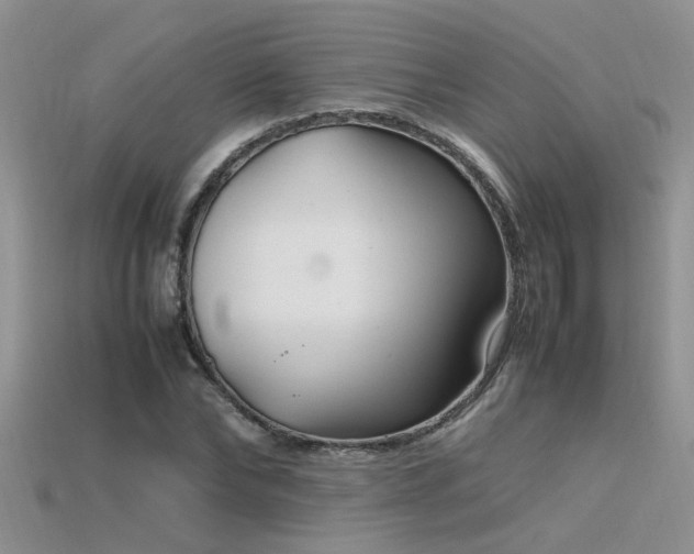 X0000115760878200911131154