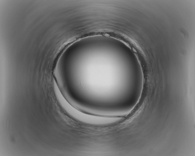 X0000115760881200911131154