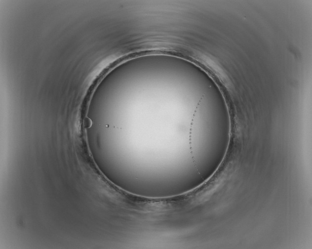 X0000115760883200911131153