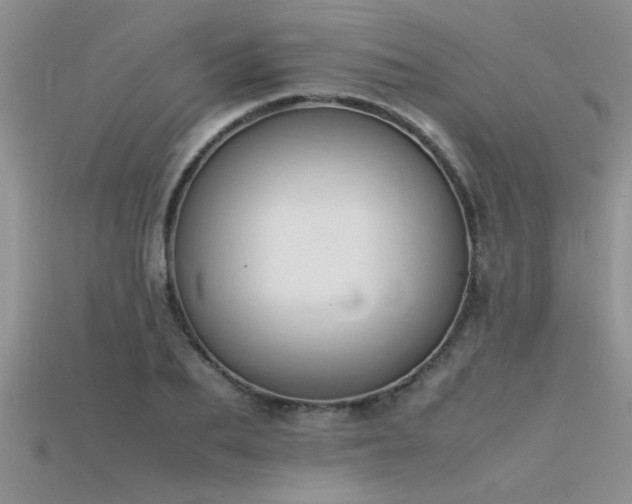 X0000115760887200911131153