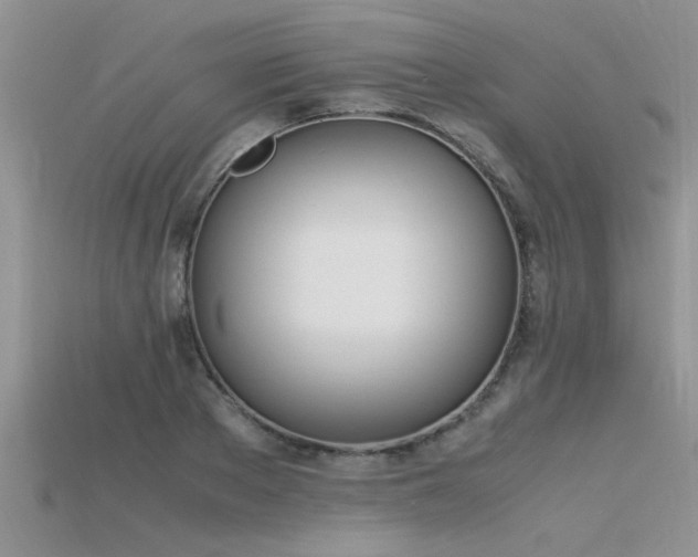 X0000115760889200911131153