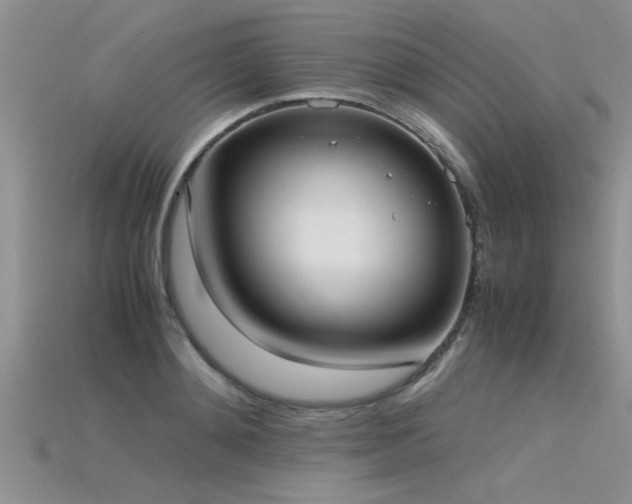X0000115760892200911131153