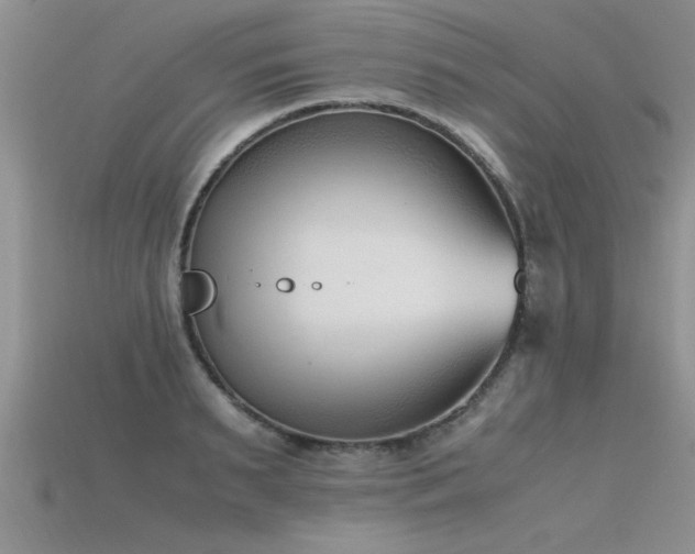 X0000115760895200911131153