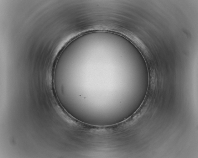 X0000115760896200911131153