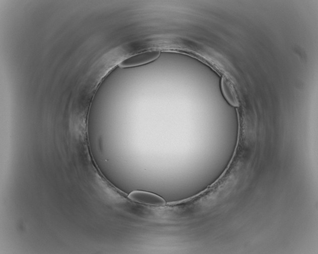 X0000115760897200911131153