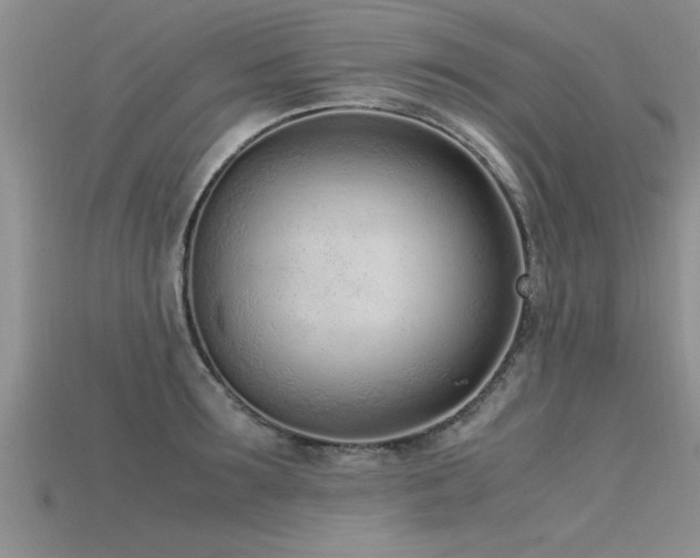 X0000115760899200911131153