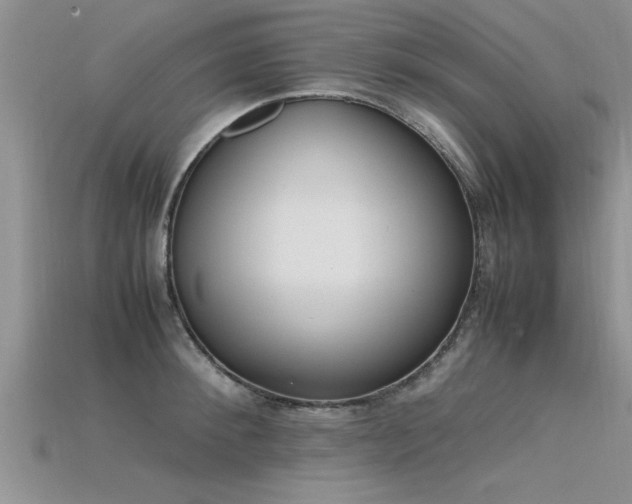 X0000115760900200911131153