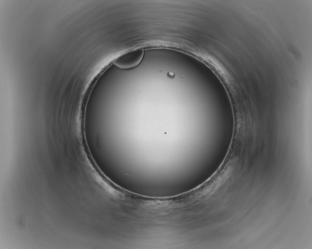 X0000115760902200911131153