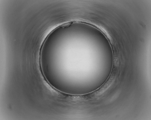 X0000115760903200911131153