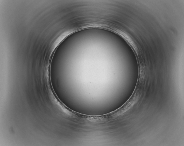 X0000115760906200911131153
