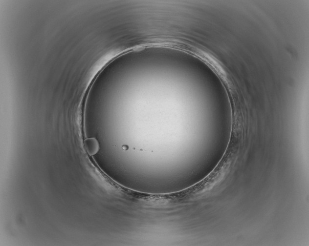 X0000115760907200911131153