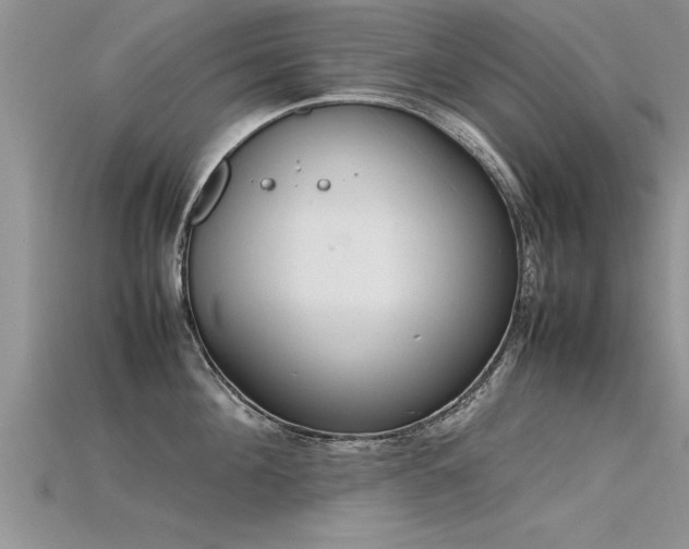 X0000115760908200911131153