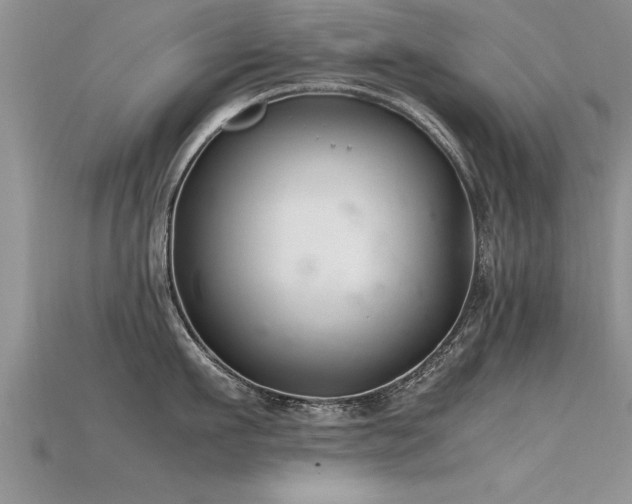 X0000115760911200911131153