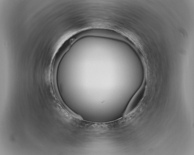X0000115760912200911131153