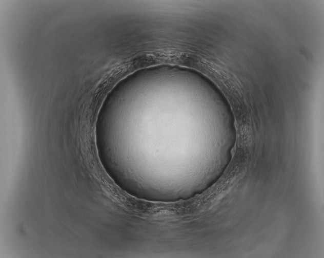 X0000115760913200911131152