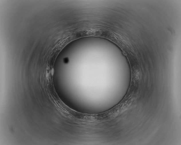 X0000115760914200911131152