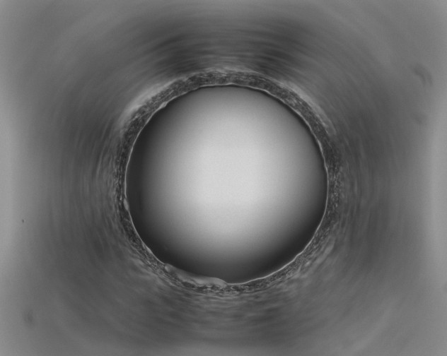 X0000115760919200911131152