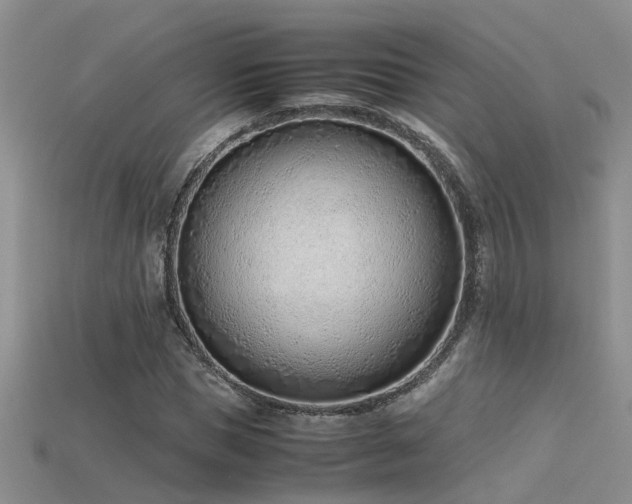 X0000115760921200911131152