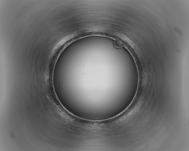 X0000115760922200911131152