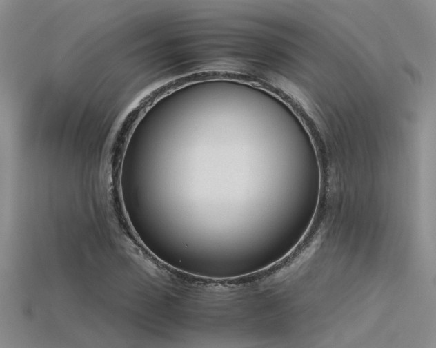 X0000115760923200911131152