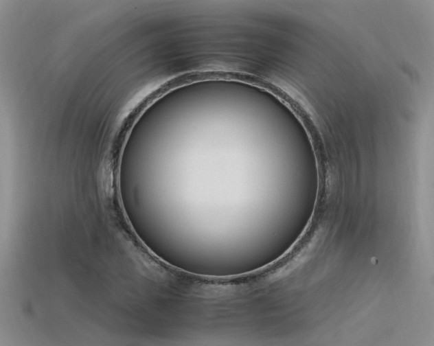 X0000115760925200911131152