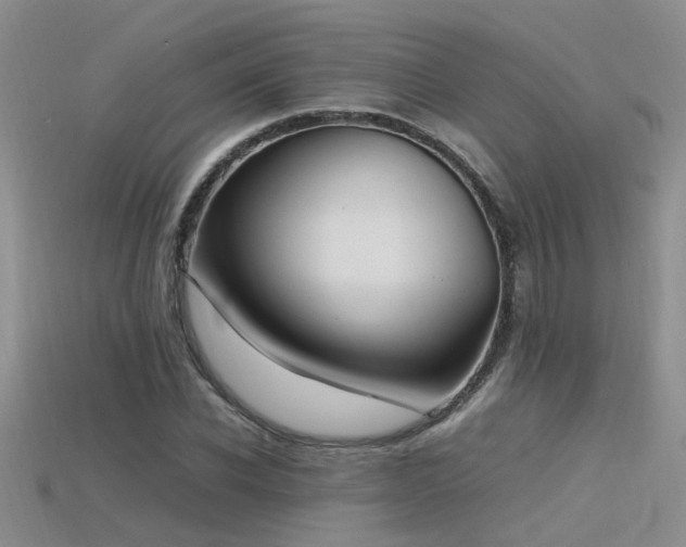 X0000115760926200911131153