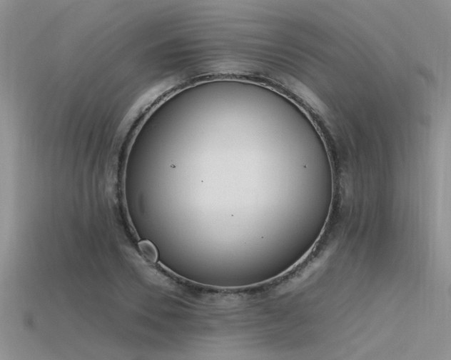 X0000115760930200911131153