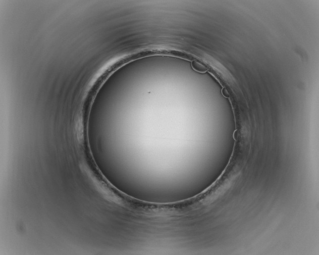 X0000115760934200911131153