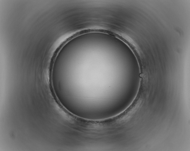 X0000115760935200911131153