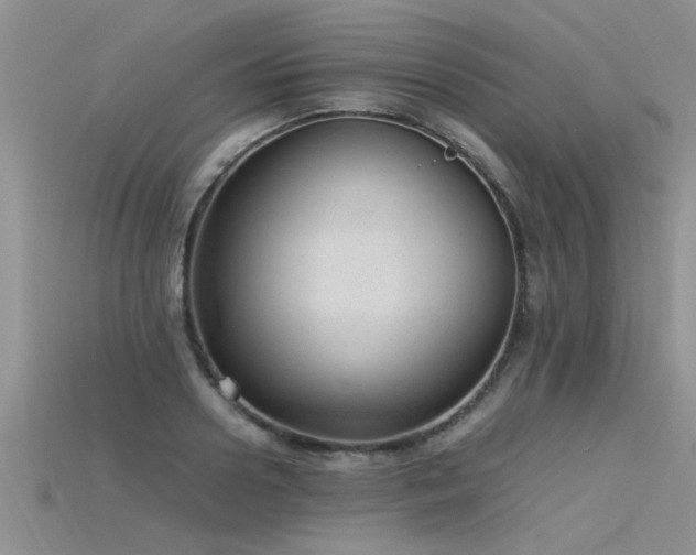 X0000115760938200911131153