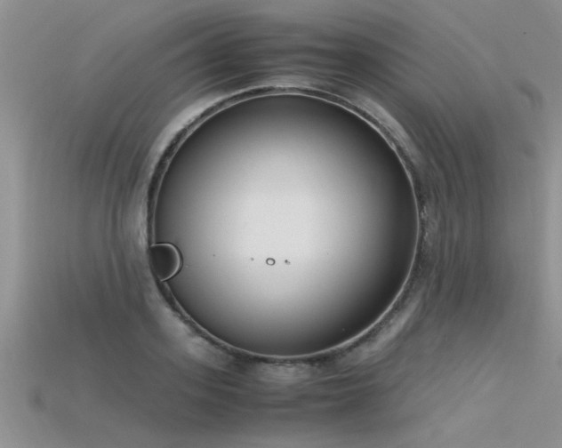 X0000115760939200911131153