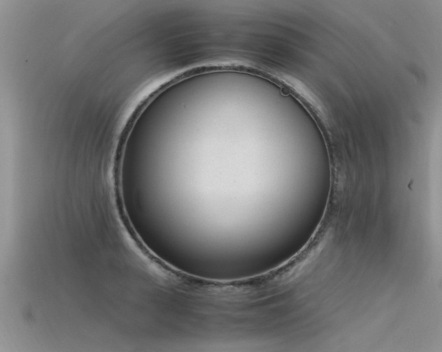 X0000115760943200911131153
