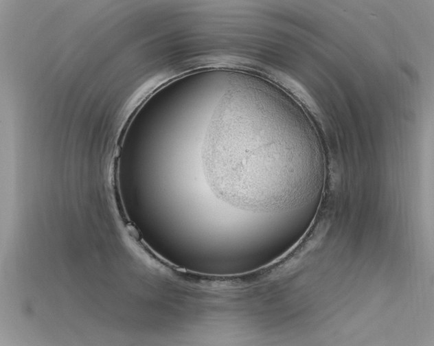 X0000115760946200911131153