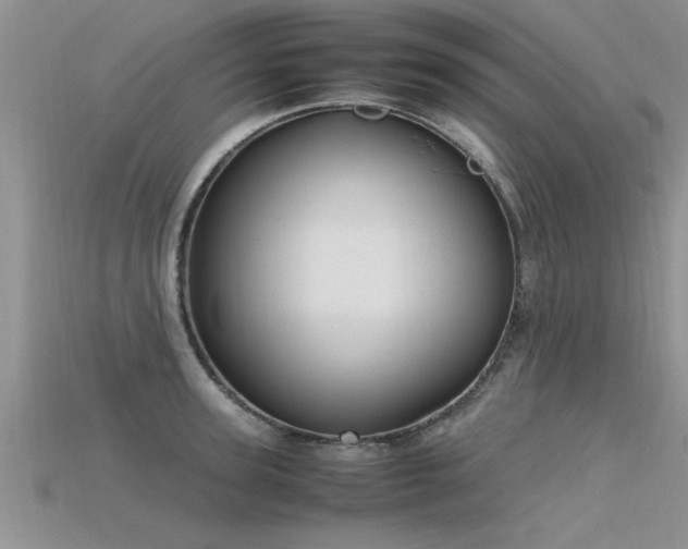 X0000115760947200911131153
