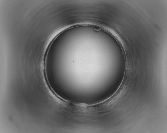 X0000115760951200911131153
