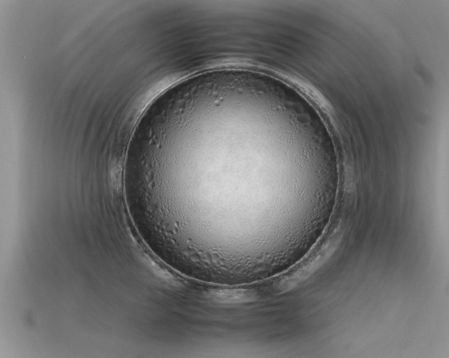 X0000115760953200911131153
