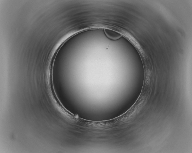X0000115760955200911131153