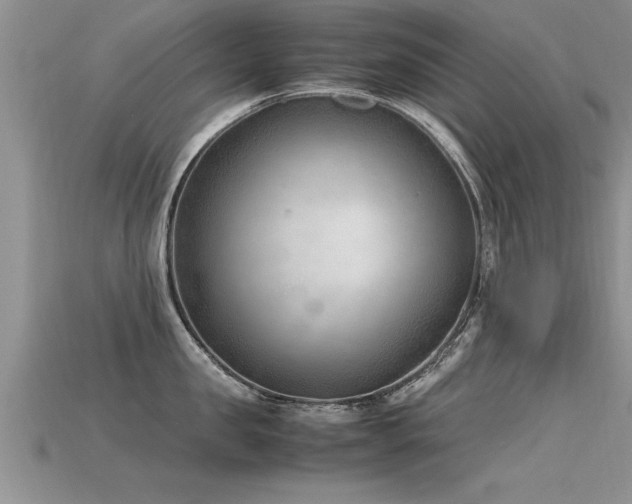 X0000115760957200911131153