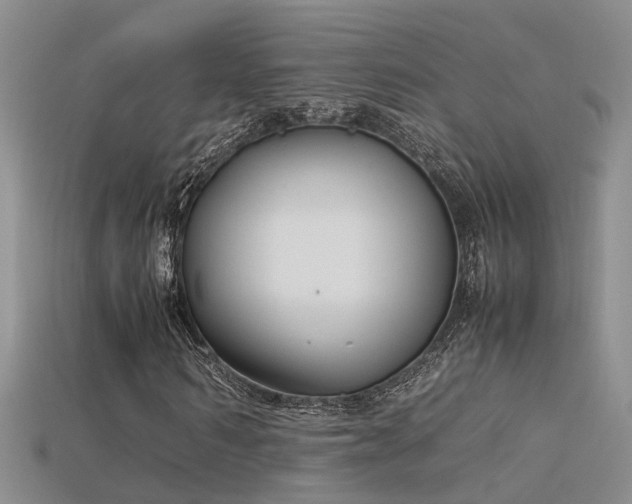 X0000115760962200911131152