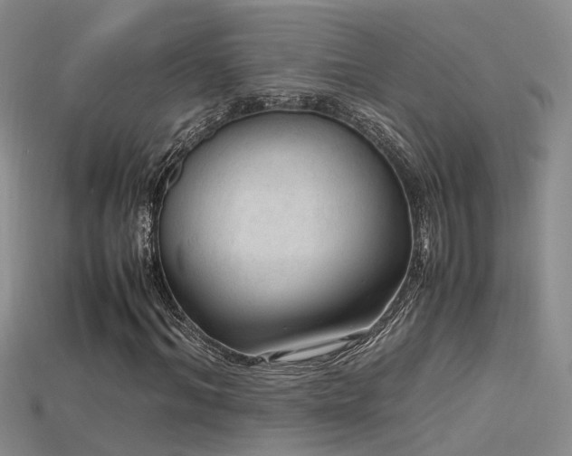 X0000115760964200911131152