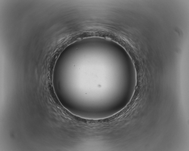 X0000115760965200911131152