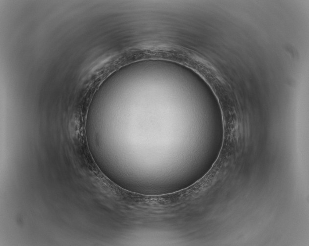 X0000115760966200911131152